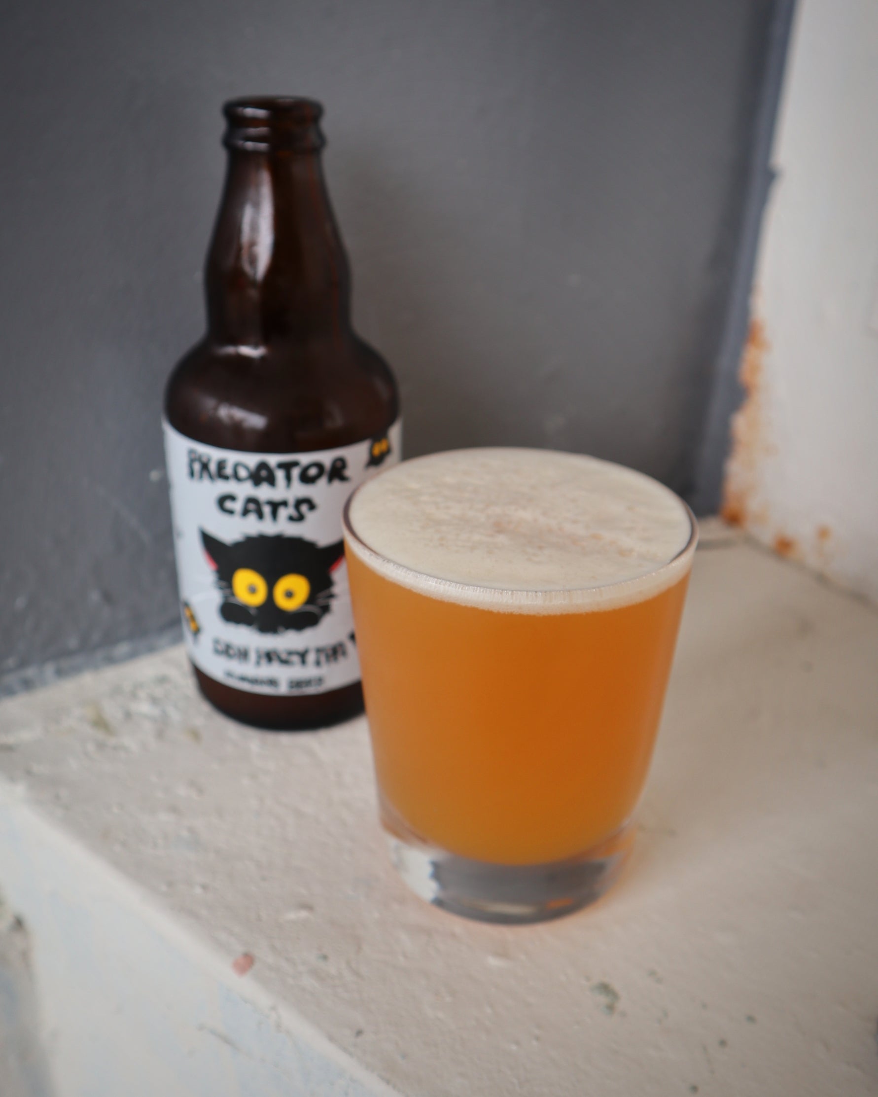 PREDATOR CATS HAZY IPA #8