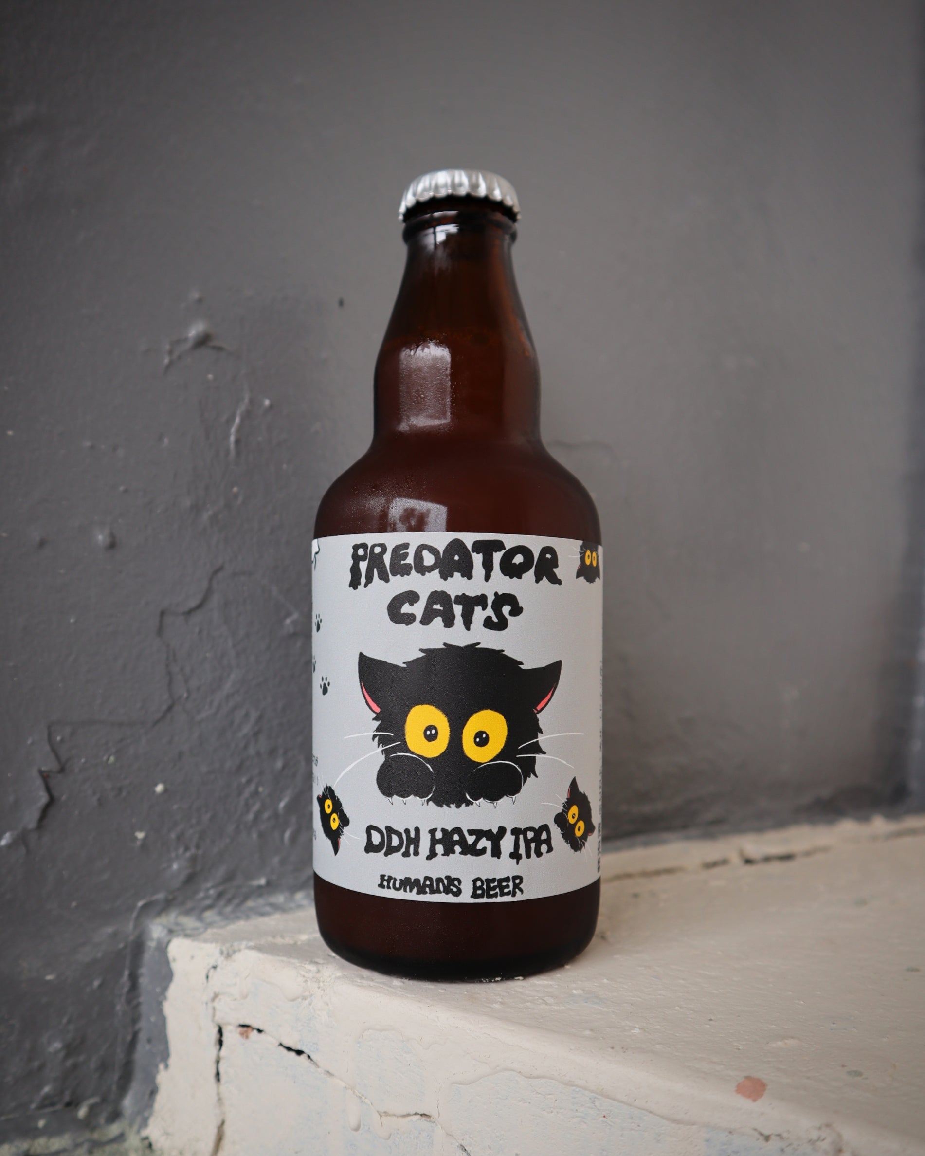 PREDATOR CATS HAZY IPA #8